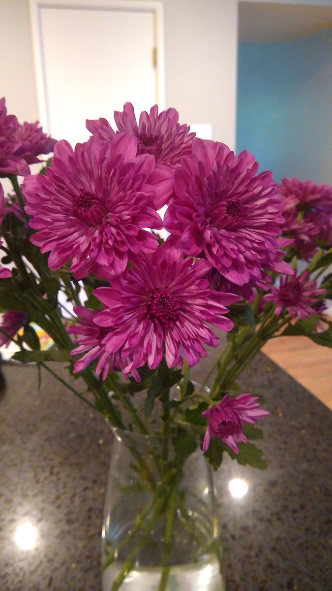 Kate Doetsch tweet media