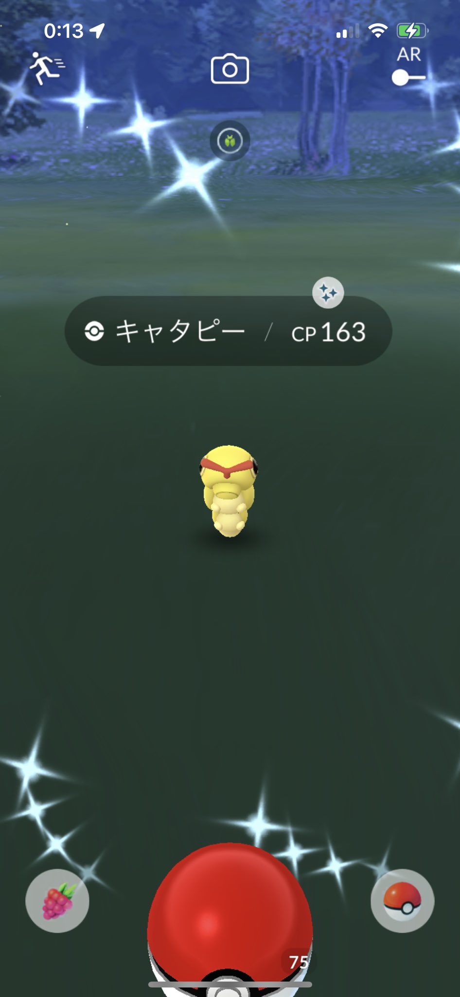 Lavista1960 昨晩寝る前にタップしたキャタピーが色違いでした ポケモンgo 色違い T Co Jqbgtvupjw Twitter
