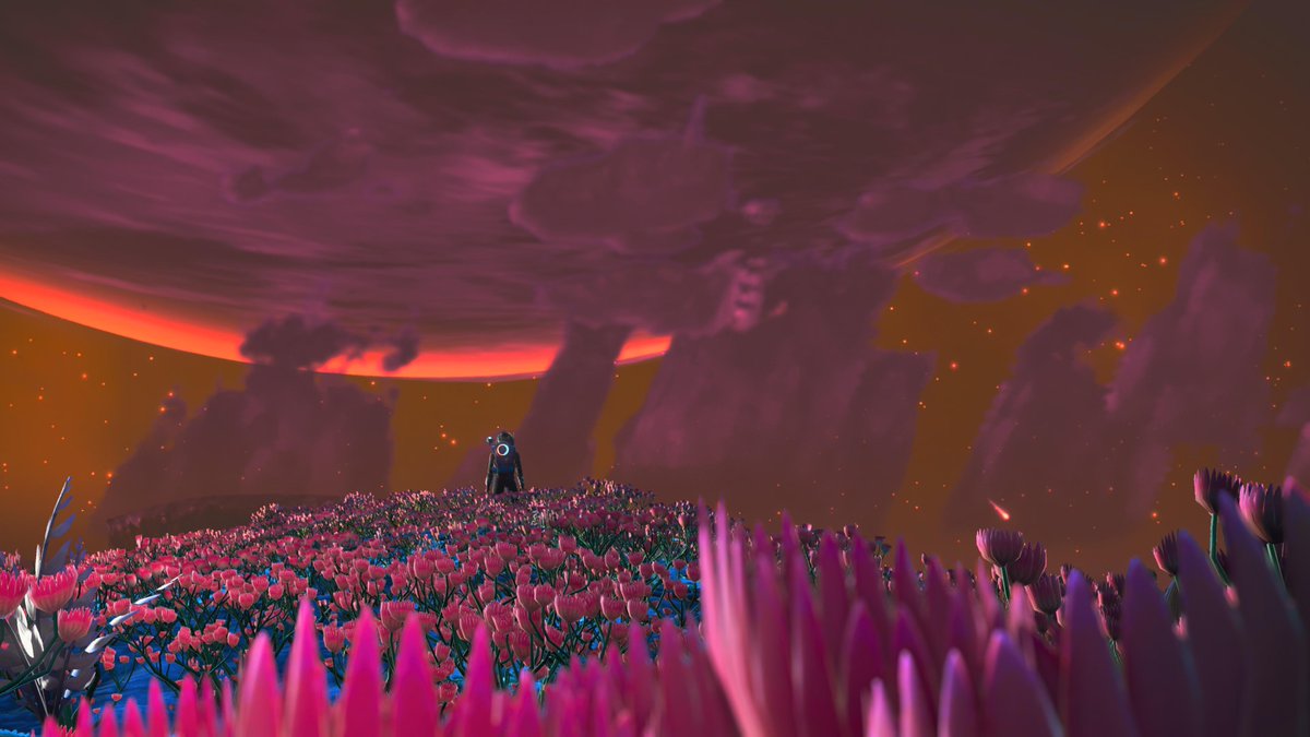 thirdpie7's tweet image. #NoMansSky  Twilight