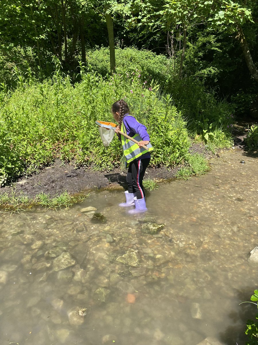 TheCambridgePS's tweet photo. Year 2 enjoyed a wonderful trip to Gilbert White’s house and gardens to ‘watch narrowly’ the nature in different habitats, just as Gilbert White did over 200 years ago! Thank you for having us @gilbertwhites #inspiringmindstogether #thecambridgeprimary #youngexplorers https://t.co/9D4woOU500