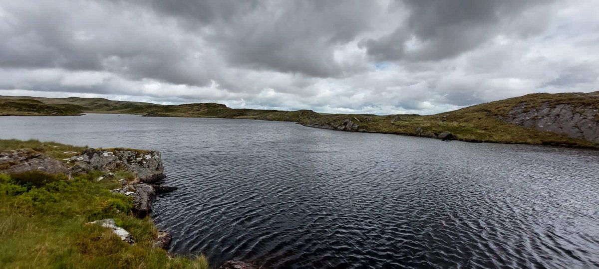 LaxtonJunior's tweet photo. Grass and moss pillow. 
Wild, calm, breathtakingly free. 
Magical light lake.

#Haiku #LJSYear5 #naturesbase https://t.co/aHwsiYG3o1