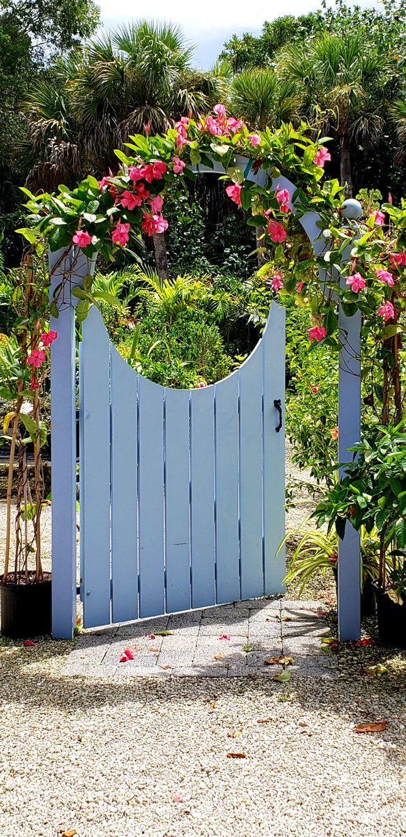 The blue moon gate is the entrance to our plant nursery area. #InTheGarden is the place to get the latest landscape design & outdoor living trends. Come get inspired 🌺 rswalsh.com/garden-center/ #swfl #captiva #sanibel #florida #gardening #naturelovers #plants #summer #flowers