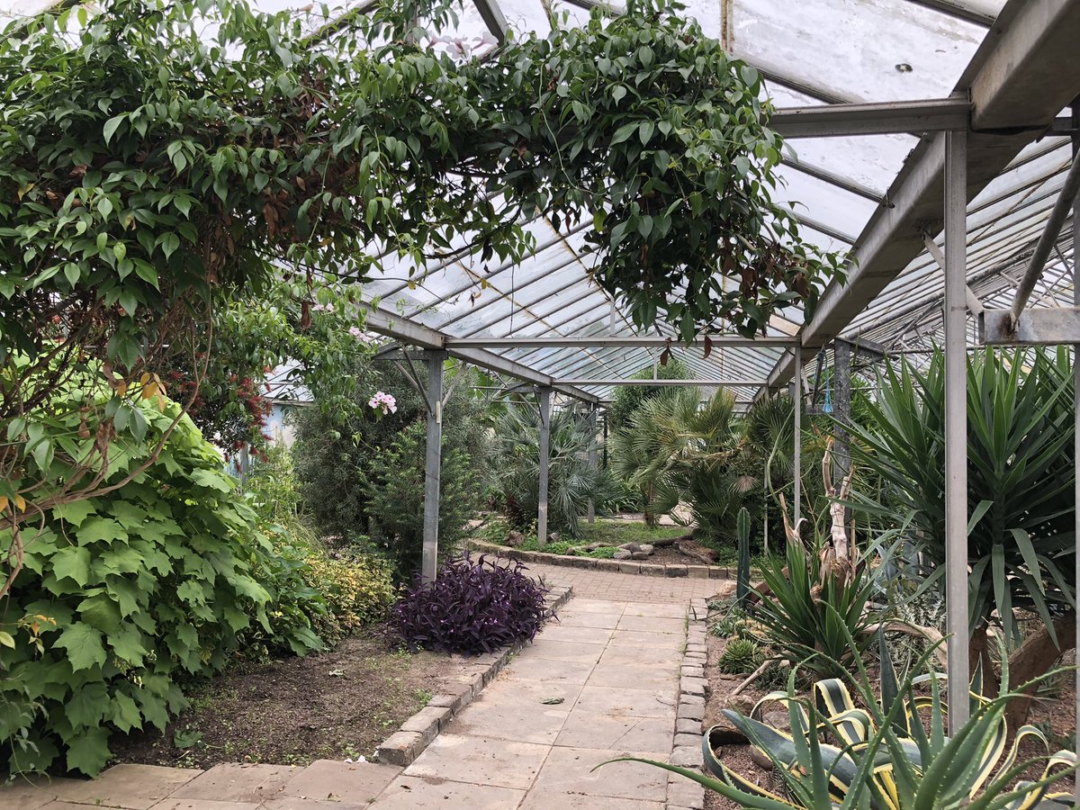 Visit to Blossom yesterday to see the fantastic work they are doing in Wythenshawe park. Working with families and groups to promote ‘health by stealth’ and bringing life back into the greenhouses. @07970W @ky1iew @BlossomMcr