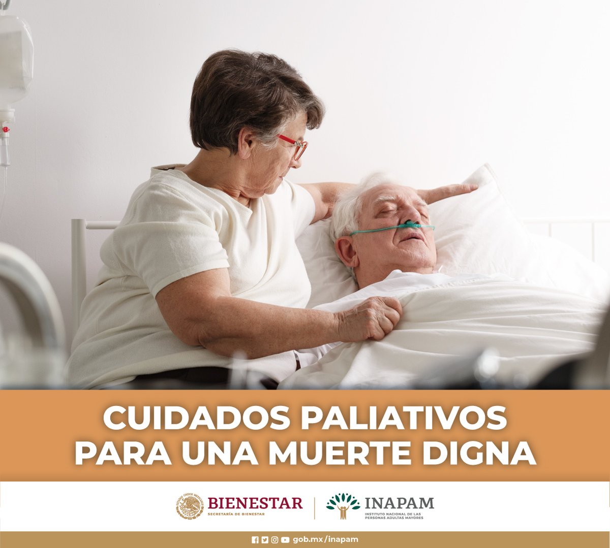 INAPAM's tweet photo. #Blog La familia es un soporte fundamental en el #CursoDeVida de las personas, tanto en situaciones satisfactorias, como en situaciones de enfermedades, pérdidas, entre otras. #CuidadosPaliativos
https://t.co/Vsem3izmFx 👈
@SSalud_mx @ISSSTE_mx @Tu_IMSS @Geriatriamexico https://t.co/GiX59qAtnx