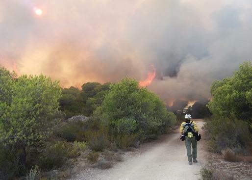 AFIB_AMAs's tweet photo. En la protecció del medi ambient de les Illes Balears tots junts tenim més força. Per aquest motiu deim NO al traspàs de competències als Consells Insulars @goib @cmat_ib @ConsellMenorca @Consell_Eivissa @consellinsular @ConselldeMca @F_Armengol @ibanat_IB https://t.co/mNVTymgU8e