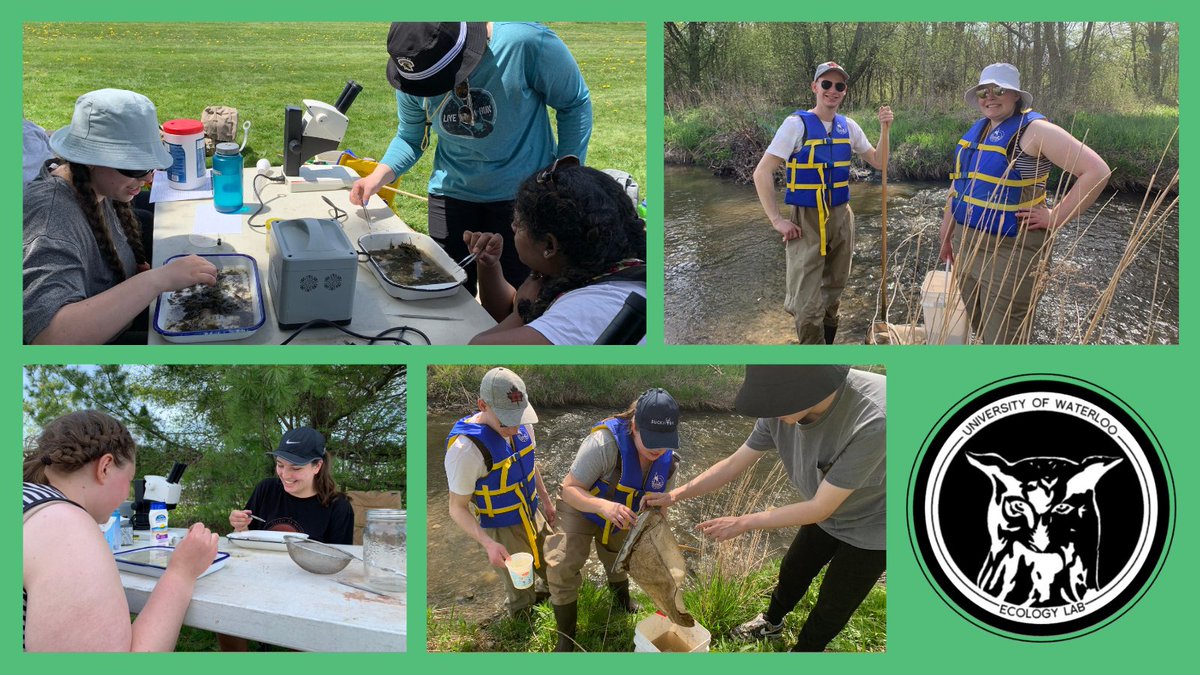 Our ERS 340 class spent the other week learning about OBBN (Ontario Benthic Biomonitoring Network) protocol. Students went to North Campus to collect samples then took them back into the lab to identify!