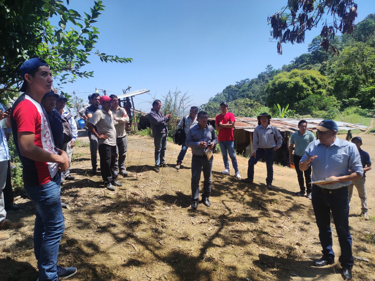 pietrograziani3's tweet photo. El proyecto "Territorios resilientes" financiado por @FIEDSprograma mira promover sistemas agroecologicos en los cantones de la @MBosqueSeco de Loja para conservar las cuencas hidrográficas y mejorando el bienestar de las poblaciones locales. https://t.co/PSS3DYKdK2