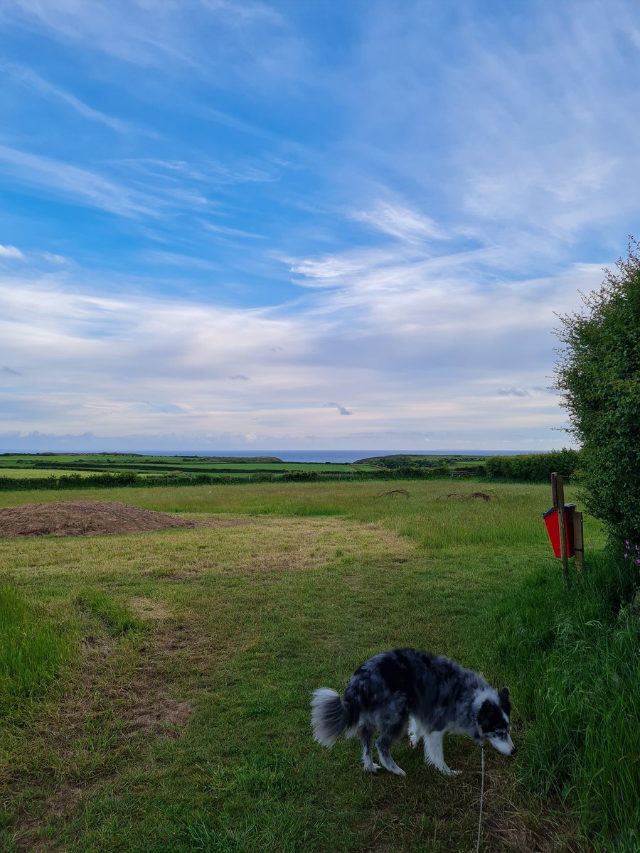 PittonCross's tweet image. Walking to #ramsgrove #gower #pittoncrosscaravanpark