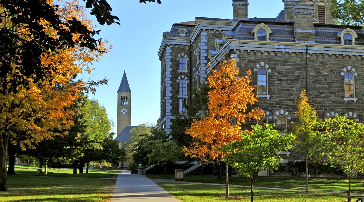 Rev members and alumni <a href="/UrsaSpace/">Ursa Space Systems</a> <a href="/EmpowerEquity/">EMPEQ (Empower Equity)</a> <a href="/RosieApp/">Rosie, an Instacart Company</a> Odyssey Semi, @exotanium and <a href="/SimplifedB/">SimpliFed</a> have been honored by The Tech Tribune as the best tech startups in Ithaca, NY! Learn more about these trailblazing companies here: bit.ly/3LTasFk