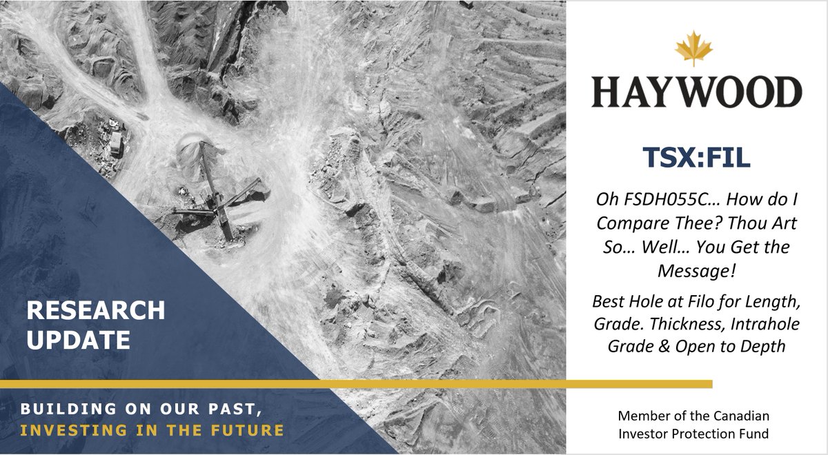 HaywoodSec's tweet image. Haywood Research Analyst Geordie Mark has published an exploration and model update, increasing his target price on @Filo_Mining. Contact your Haywood Investment Advisor for a copy. $FIL.T

#FiloMining #Exploration #DrillResults #Copper #Gold #Silver $FIL