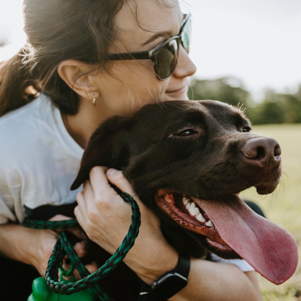 Chandler Gilbert Animal Hospital on Twitter "Nobody can love your best