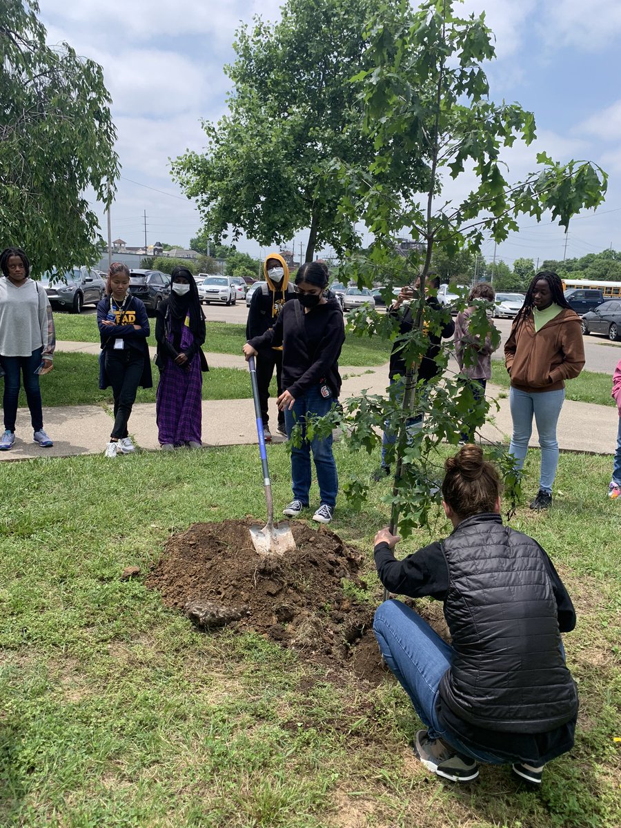 LayneLMS's tweet photo. @LouisvilleCHS Book Club members dedicated our tree today to celebrate growing readers and growing leaders. Thanks, @JCPS_LMS for the tree! #ReadWoke #JCPSLibraries #JacketPride https://t.co/SMccHBBWuP