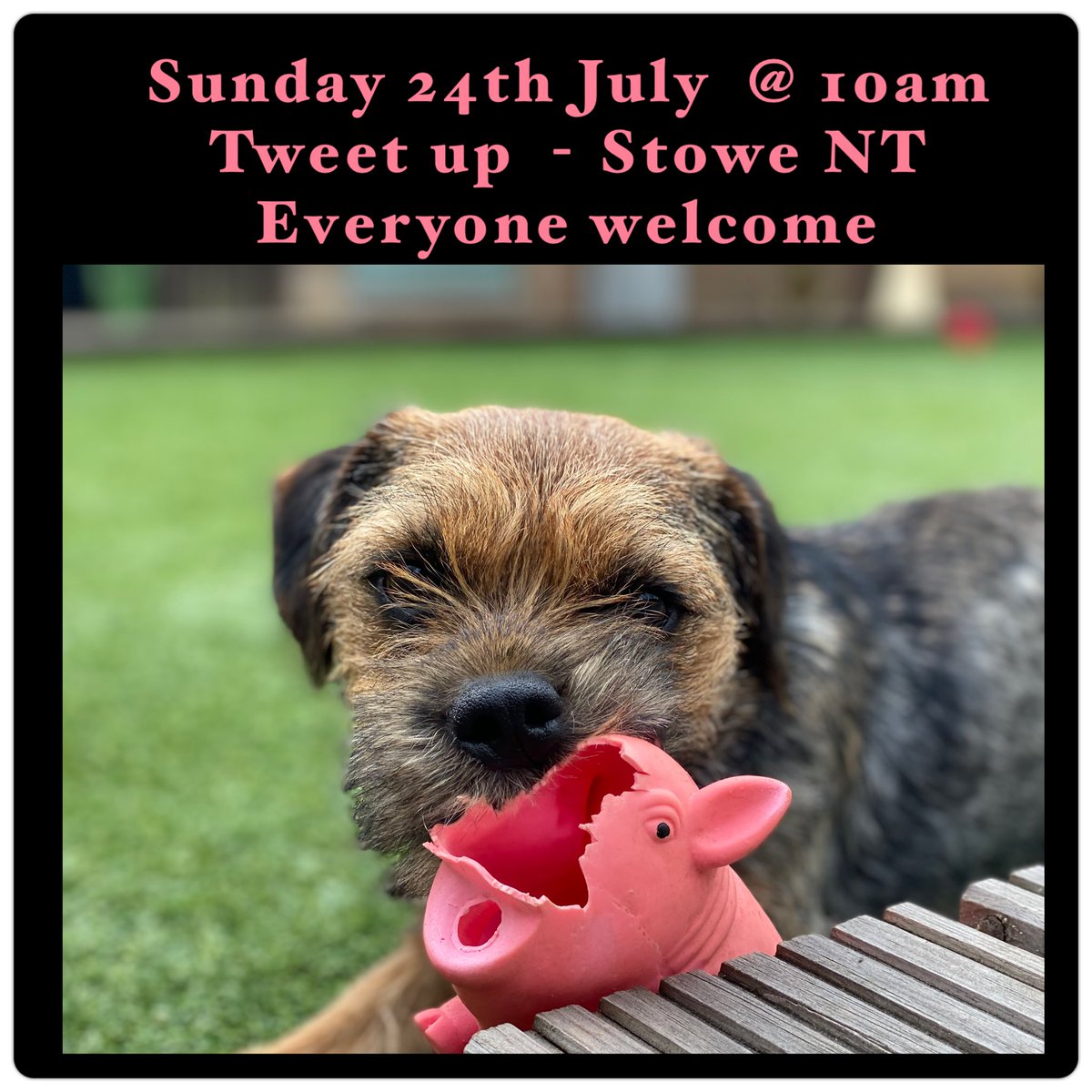 MrSebBT's tweet photo. Heads up pals … think it’s time for a tweet up 

Hope some of you can make it.  

Pls let the old humum know if you can join us 

The more the merrier #noisier 😜 #btposse 

Can you put on the calendar pls Mr Mike @RohanTheBT https://t.co/BcNKA9ovof