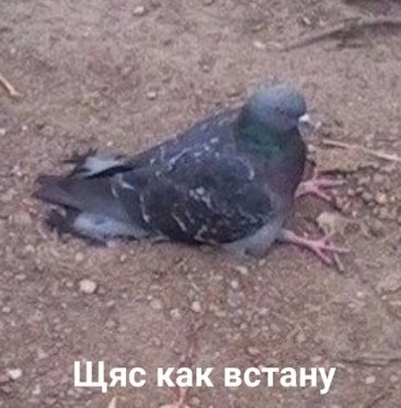 KealaDream's tweet photo. @music5lover Я, когда мне надо вставать на работу в 6:30: https://t.co/AiuQZ4rJs9