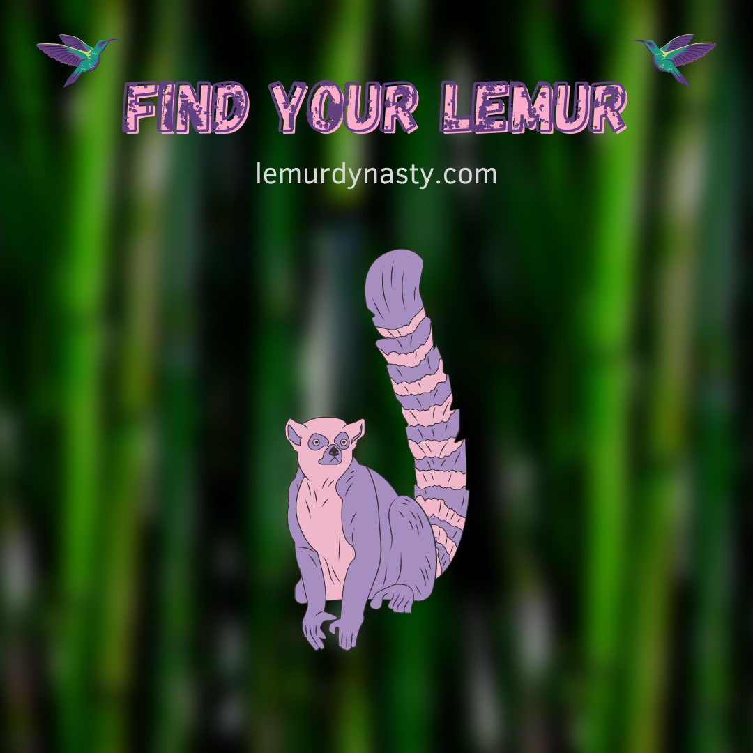 Lemur Dynasty Club tweet media