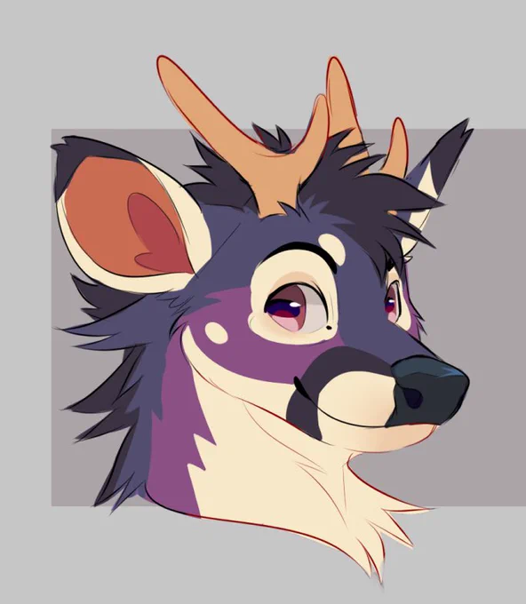 A deer 👀 
