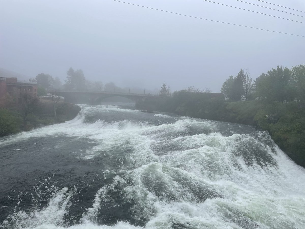 Beautiful, foggy view from my run this morning in Spokane! It’s been a great week so far at <a href="/prsatravel/">PRSATravel</a> 📝✈️