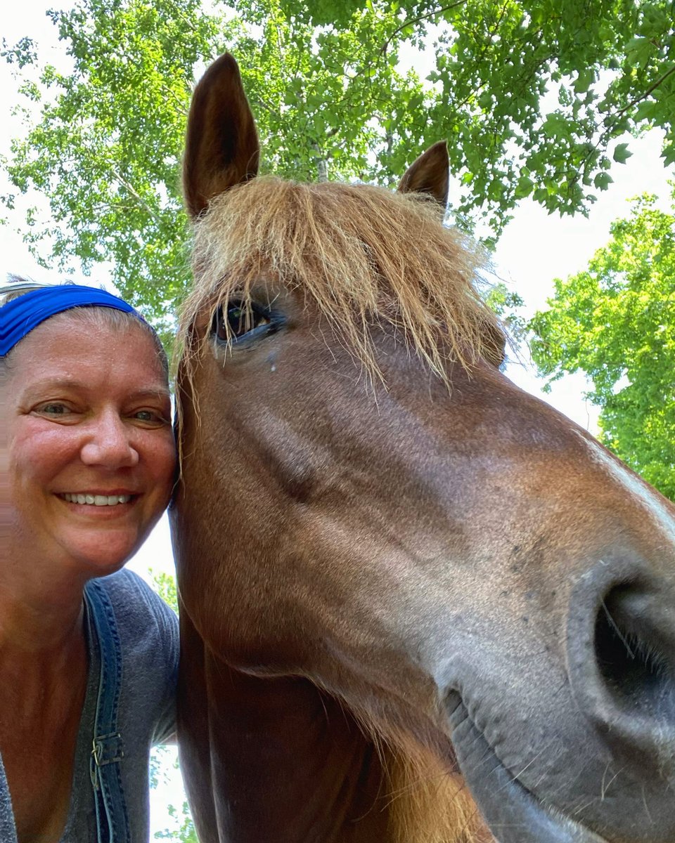 MosherSusan's tweet photo. Quiz time:  How many wild horse herds are there (currently) on the east coast? Jesse and I can tell you all about them, come see the wild horse ambassadors at Grayce Wynds Wild Horse Preserve🐴💗 https://t.co/qnOVkR5qwX