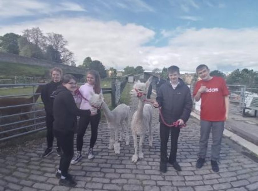 WHHS_Edin's tweet photo. Tonnes of fun at @LOVEGorgieFarm today with @Cyrenians1968 #KeyToWork work experience #DYW #getinvolved #workwithanimals https://t.co/Qh6UIpzp2v