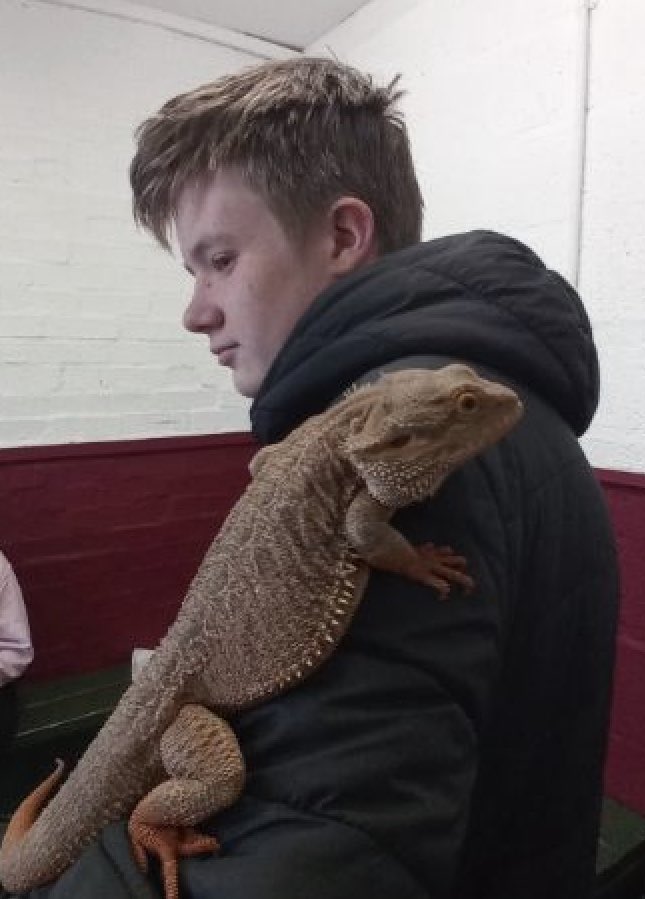 WHHS_Edin's tweet photo. Tonnes of fun at @LOVEGorgieFarm today with @Cyrenians1968 #KeyToWork work experience #DYW #getinvolved #workwithanimals https://t.co/Qh6UIpzp2v