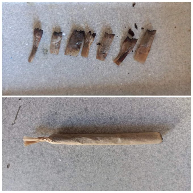 fumeimuito's tweet image. quando me perguntam se eu acredito em reencarnação: