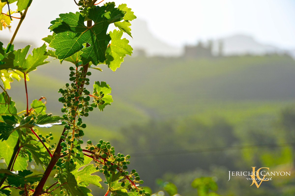 Be still, and the earth will speak to you.
- Navajo proverb