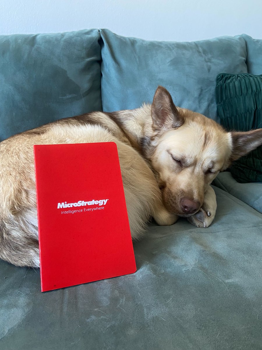 MicroStrategy's tweet photo. It's a grey day in #MSTRHQ today so we figured everyone could use a pick-me-up.
πΆ Enter Penny, the cutest little cinnabon, doing what we wish we could all be doing right now π΄
#MSTRPetoftheWeek #PetsofMSTR https://t.co/3ezE7VjXG0