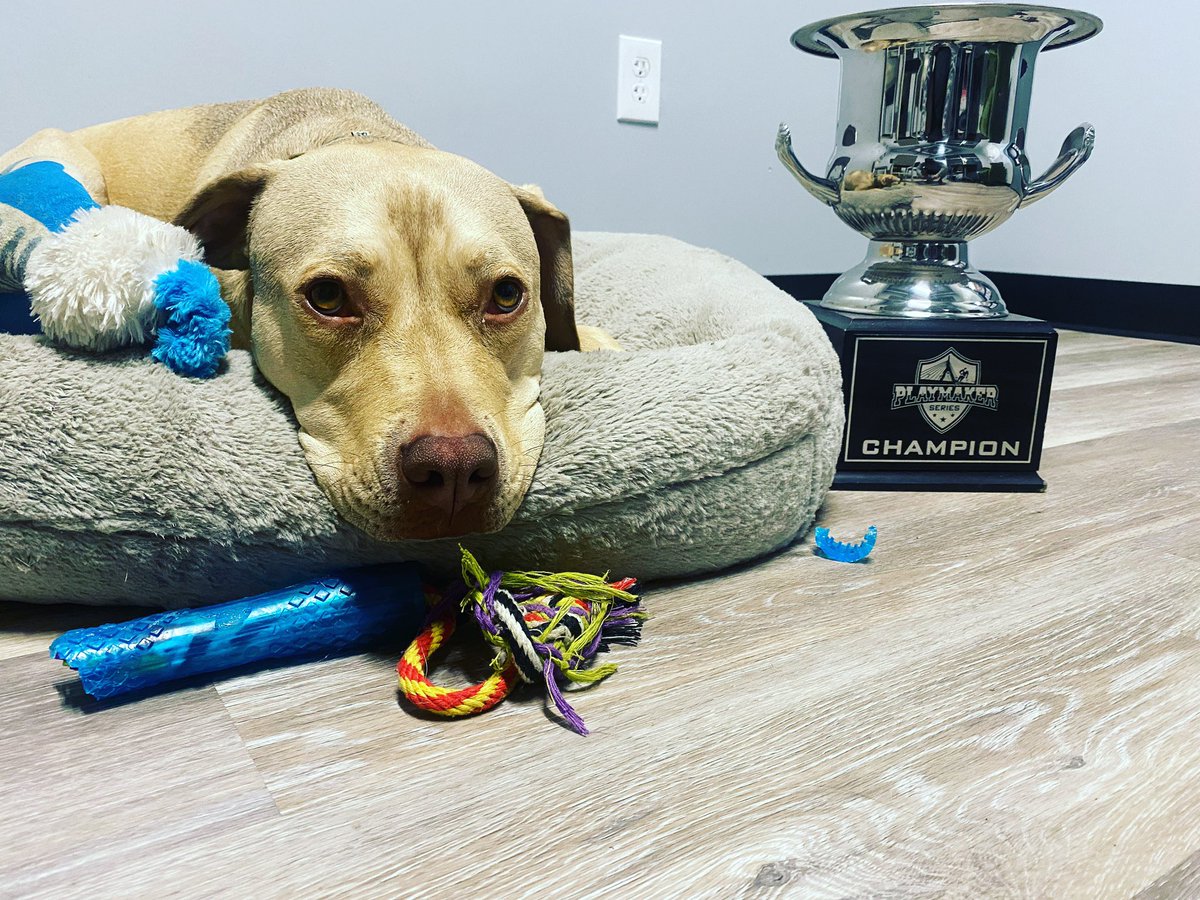 PlaymakerSeries's tweet image. 09/10 Season 2 Finals tonight- 1 seed Stars vs 3 seed Checkers.
Cup is shined up and ready to be raised! #Season2