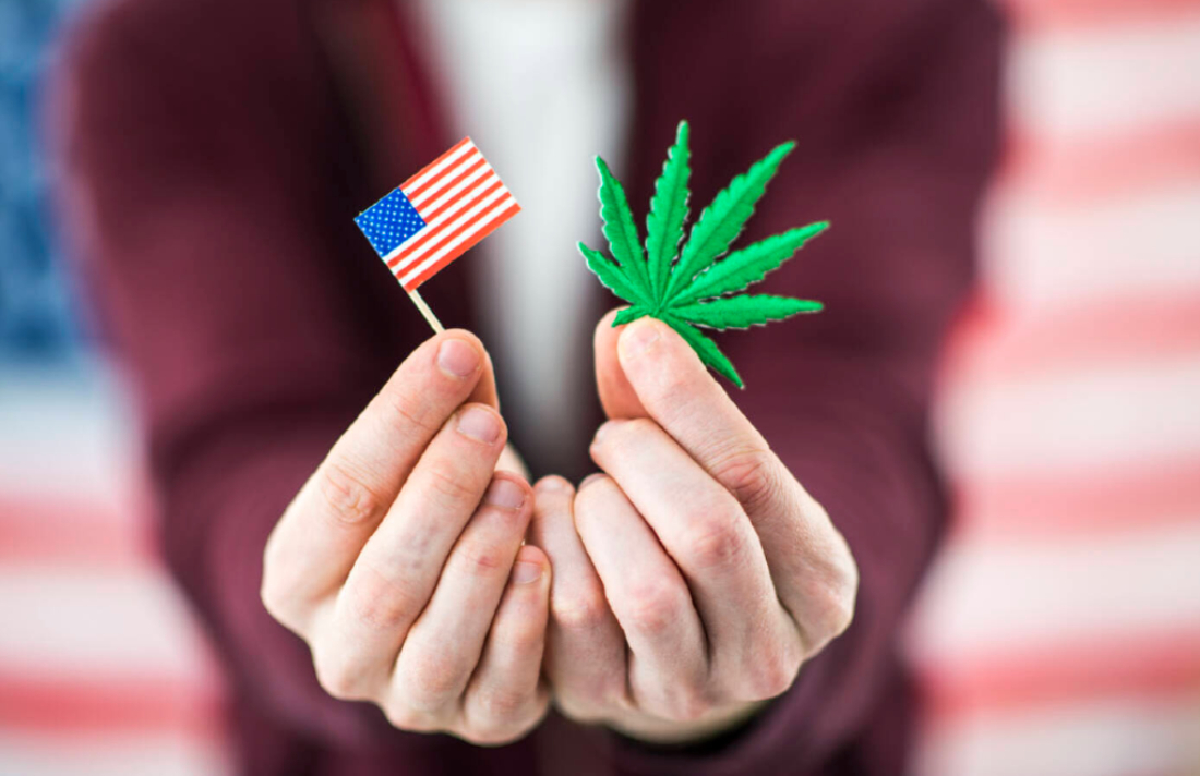 Cannabis Culture tweet media