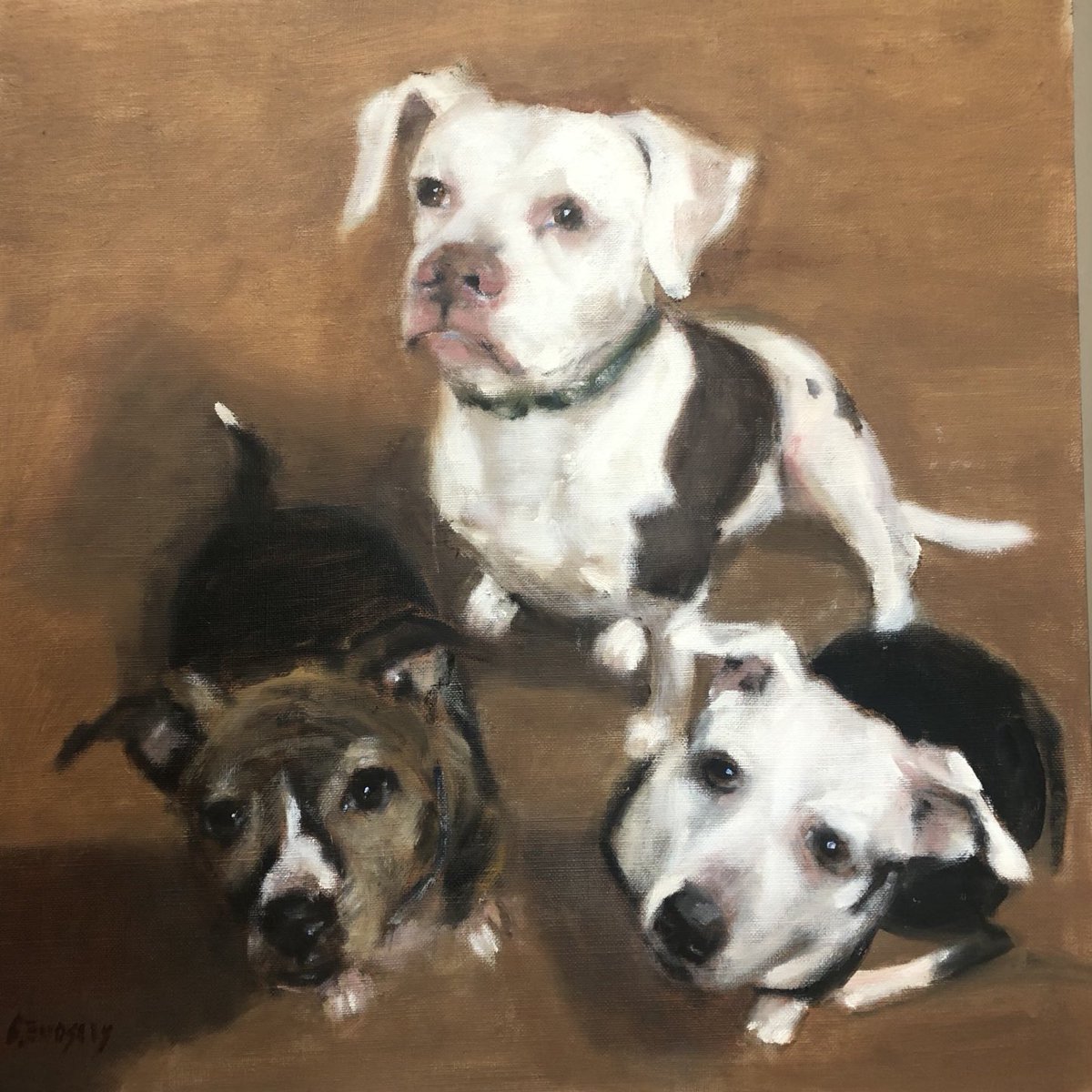 BeverlyEndsley's tweet photo. Not only is traveling to the Antarctic an incredible experience, you meet the coolest people! Thank you Paul &amp; Zdenka for selecting me to paint these gorgeous pups!
#animalportraits #dogportrsits #natgeotravel  #awa #waow #ais #opa https://t.co/B4qhAGs5j2