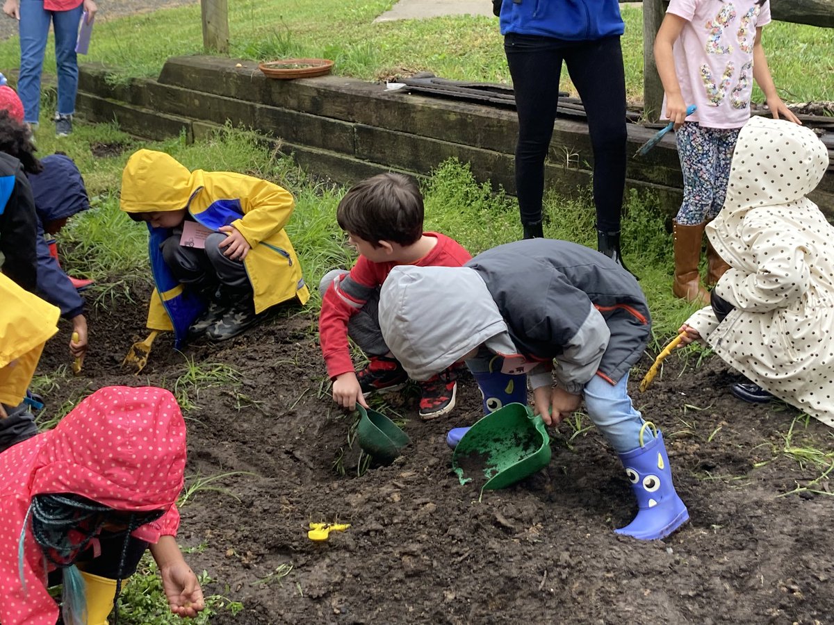 CFES Kindergarten tweet media