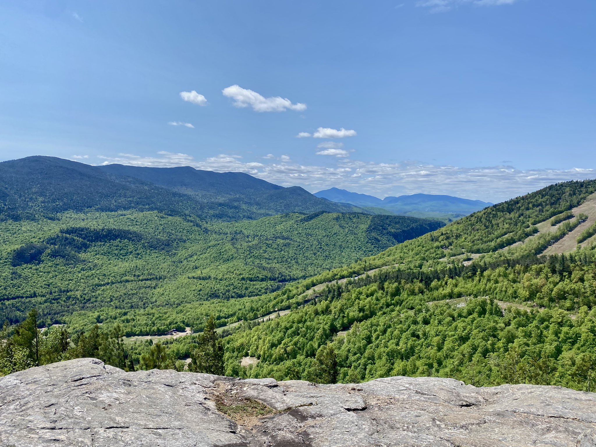 Holly Riddle 👻 (@TheHollyRiddle) / Twitter