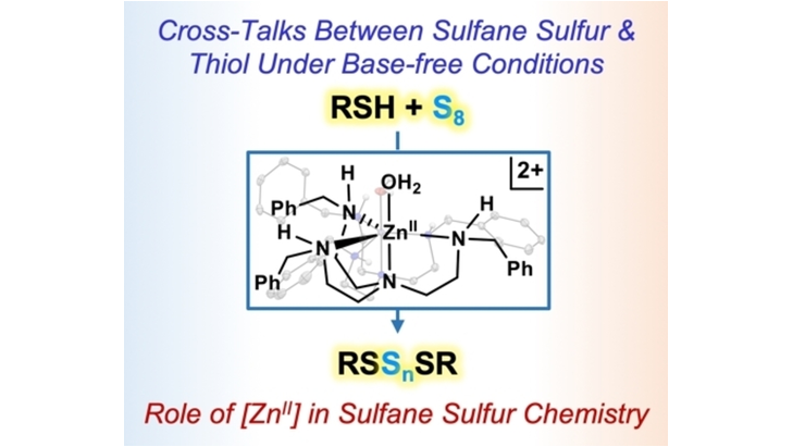 Chemistry (@chemeurj) on Twitter photo Cross-Talks Between Sulfane Sulfur and Thiol at a Zinc(II) Site (Kundu) <a href="/SKLab_IISERTvm/">SK Research Group</a> onlinelibrary.wiley.com/doi/10.1002/ch… Cross-Talks Between Sulfane Sulfur and Thiol at a Zinc(II) Site (Kundu) <a href="/SKLab_IISERTvm/">SK Research Group</a> onlinelibrary.wiley.com/doi/10.1002/ch…