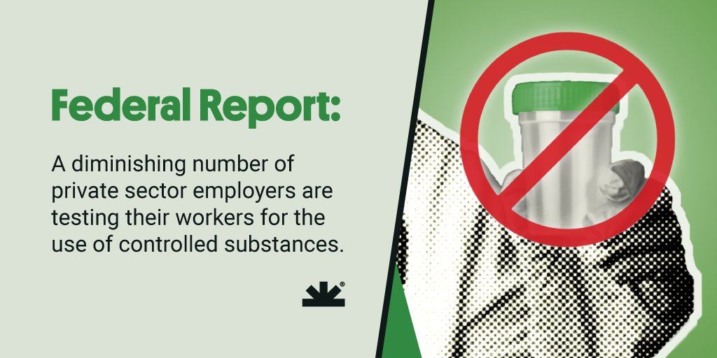 NORML's tweet photo. The times have changed, attitudes have changed, the #marijuana laws have changed, and in many places, #drugtesting policies in the workplace have changed.
Read more about Marijuana #Legalization and Impact on the Workplace on #NORMLFactSheet: https://t.co/ISvRb5liHb https://t.co/E3cFTrFS6W