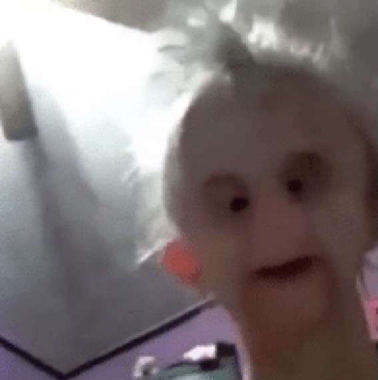 djovelbtw tweet media