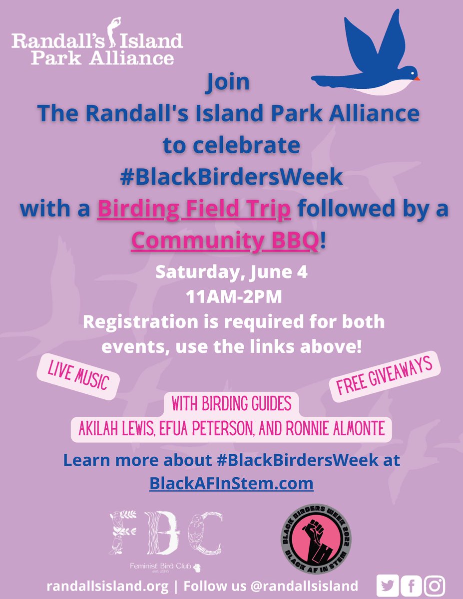 BlackAFinSTEM (@blackafinstem) on Twitter photo Yet another IN-PERSON event for y'all to check out!
If you're in the NYC area, head over <a href="/randallsisland/">Randalls Island Park</a> for birding field trips hosted by a trio of great Black birders: <a href="/o_efua/">Efua Peterson</a>, @ronniealmonte, & our own <a href="/BirdingQueens/">Akilah 🦜🦋🌸</a>!
Go for the birds, then stay for the BBQ! Yet another IN-PERSON event for y'all to check out!
If you're in the NYC area, head over <a href="/randallsisland/">Randalls Island Park</a> for birding field trips hosted by a trio of great Black birders: <a href="/o_efua/">Efua Peterson</a>, @ronniealmonte, & our own <a href="/BirdingQueens/">Akilah 🦜🦋🌸</a>!
Go for the birds, then stay for the BBQ!
