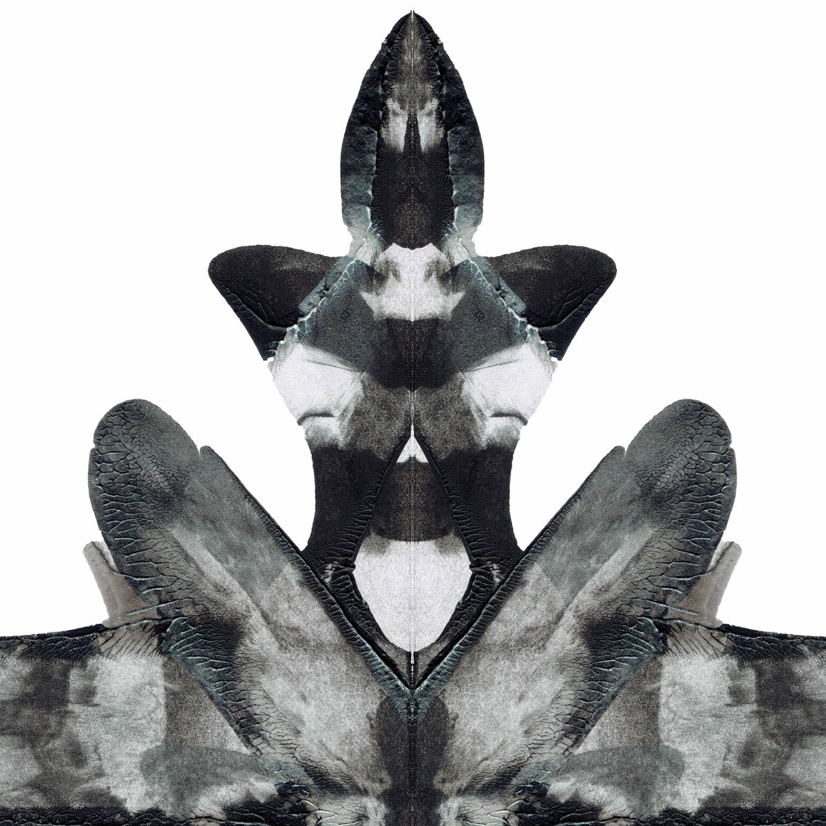 nft0tem's tweet image. Observe
#art #painting #semiotics