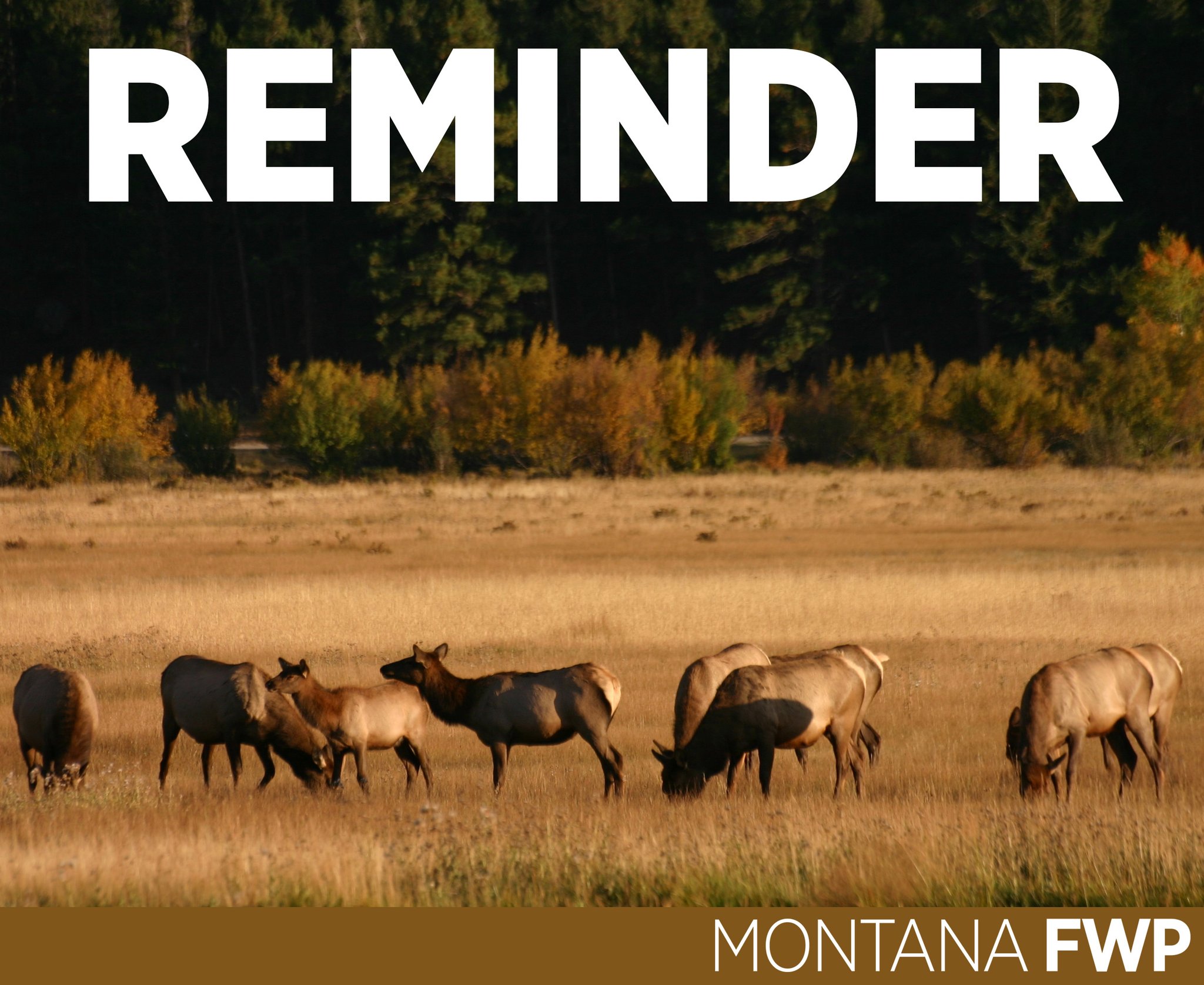 Montana FWP on Twitter "Landowners have until June 1 to apply for elk