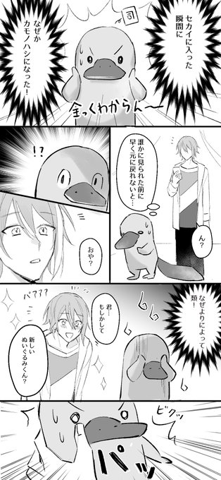 類司
カモノハシになった司くんの話(1/2) 