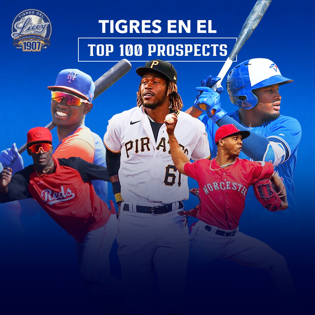 Tigres del Licey tweet media