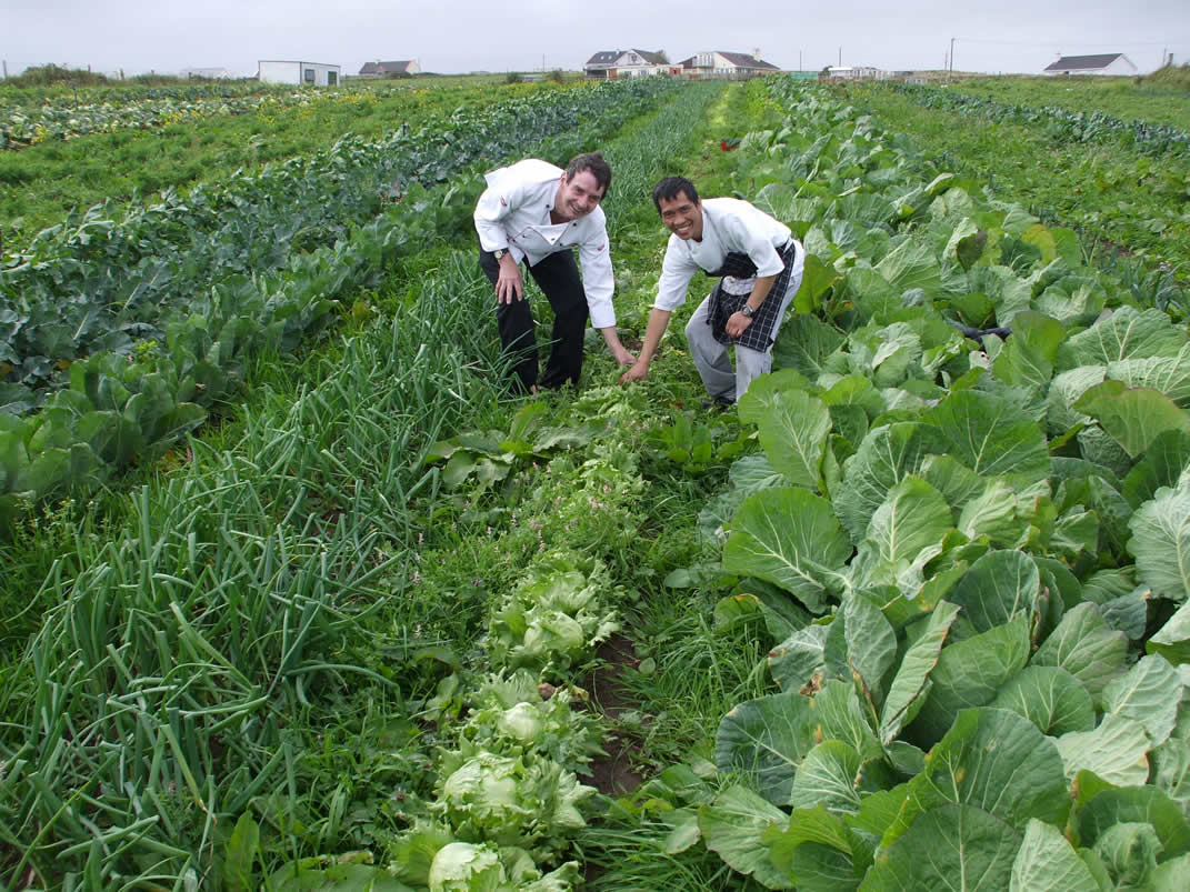 MayoNorth's tweet photo. Happy 23rd birthday to the #MerryMonk bar & restaurant #Ballina #CountyMayo. With fresh vegetables & salads grown chemically free on their vegetable farm & lamb reared on their own farm, this is a #foodie lovers dream! Visit: https://t.co/EamyA6o2LL. #farmtofork #sustainability https://t.co/rC7VTzGKXv