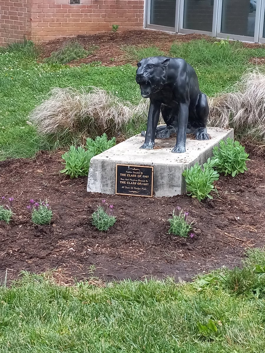 Hayward Johnson (@haywardjohnson) on Twitter photo Key Club <a href="/PikesvilleHS/">Pikesville HS</a> cleaned up our front lots and bus loop and did some other beautification with some pawsome purple plantings <a href="/ericeiswert1/">Eric Eiswert</a> <a href="/MikeBanach/">Mike Banach</a> <a href="/Sam1Buckley/">School Leader Sam Buckley</a> Key Club <a href="/PikesvilleHS/">Pikesville HS</a> cleaned up our front lots and bus loop and did some other beautification with some pawsome purple plantings <a href="/ericeiswert1/">Eric Eiswert</a> <a href="/MikeBanach/">Mike Banach</a> <a href="/Sam1Buckley/">School Leader Sam Buckley</a>