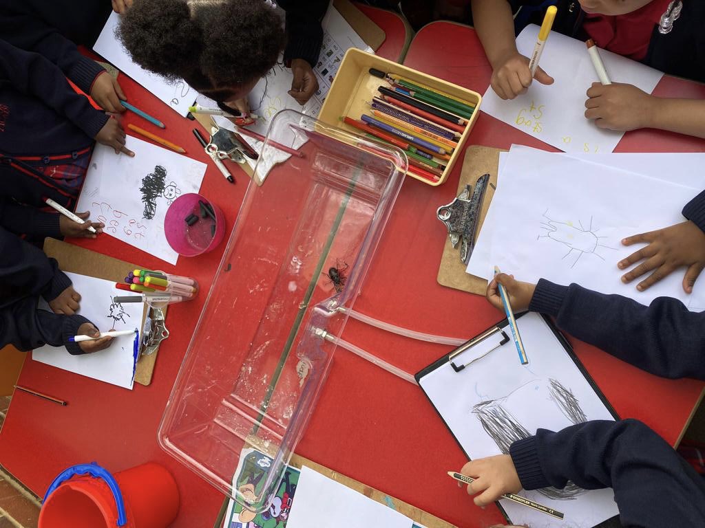 paxtonacademy's tweet photo. L👀k who came to visit the children in Reception today. After introducing themselves, they stopped and posed for a real ‘live’ drawing, before setting off on a new venture into the world outside. It’s a bug’s life #stagbeetle 🪲 #Incidentallearning https://t.co/kNH3a9kKOz