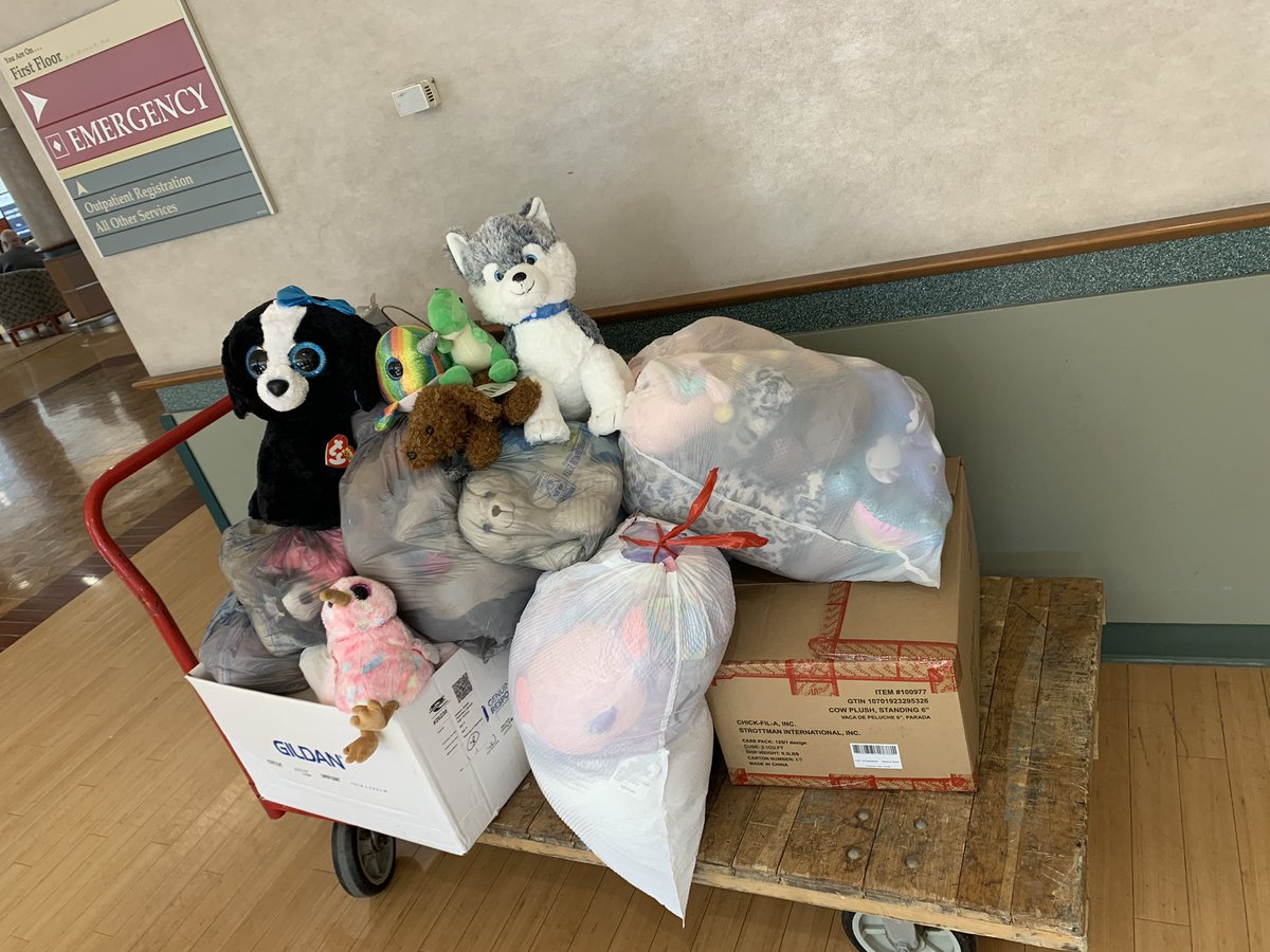 PCHSKeyClub1's tweet photo. Today we dropped off the stuffed animals at Edwards! Thank you to all who donated, and a special thank you to @pchssoftball1 and @pchswildcats1 for partnering with us for this great cause 💚🤍💚🤍 https://t.co/s3t3ch5q9D