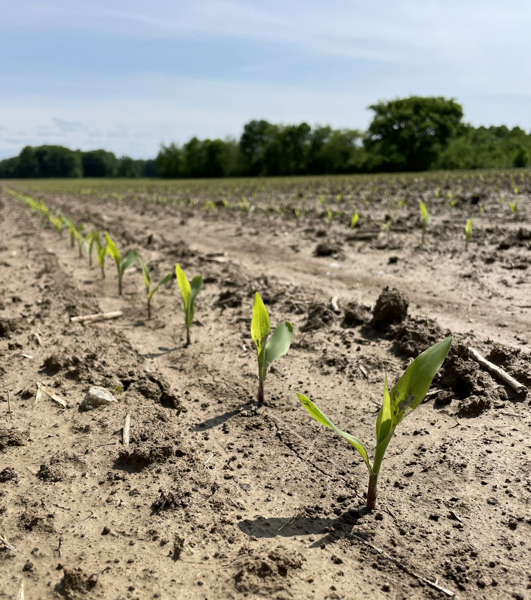 Mike hacker tweet media