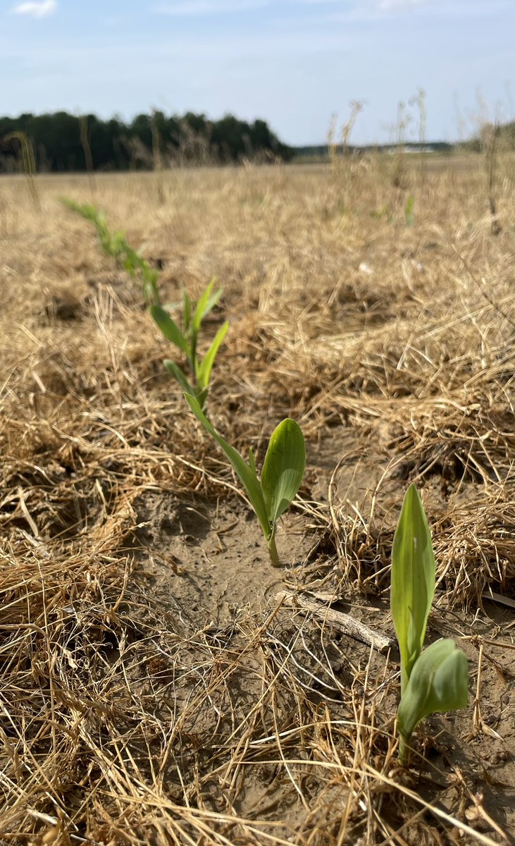 Mike hacker tweet media