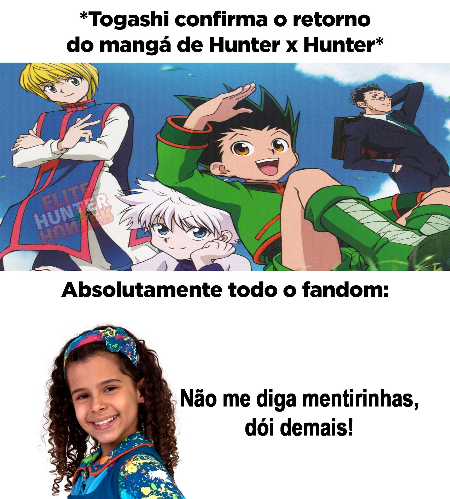 Elite Hunter x Hunter - Um dia e Funimation no Brasil e os sites piratas  tão como