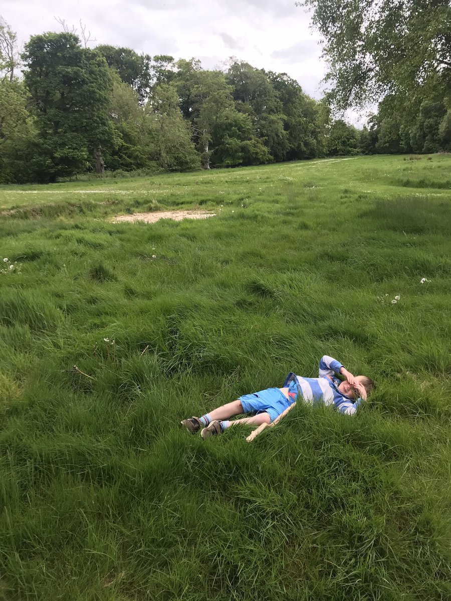 Niamhscello's tweet photo. @MidEYLCOL this past pupil of Vogrie ELC found his old favourite haunt, some lovely long grass for lying down, near a bridge where we used to pretend to play trolls’ 
❤️ https://t.co/A7pw0I961O