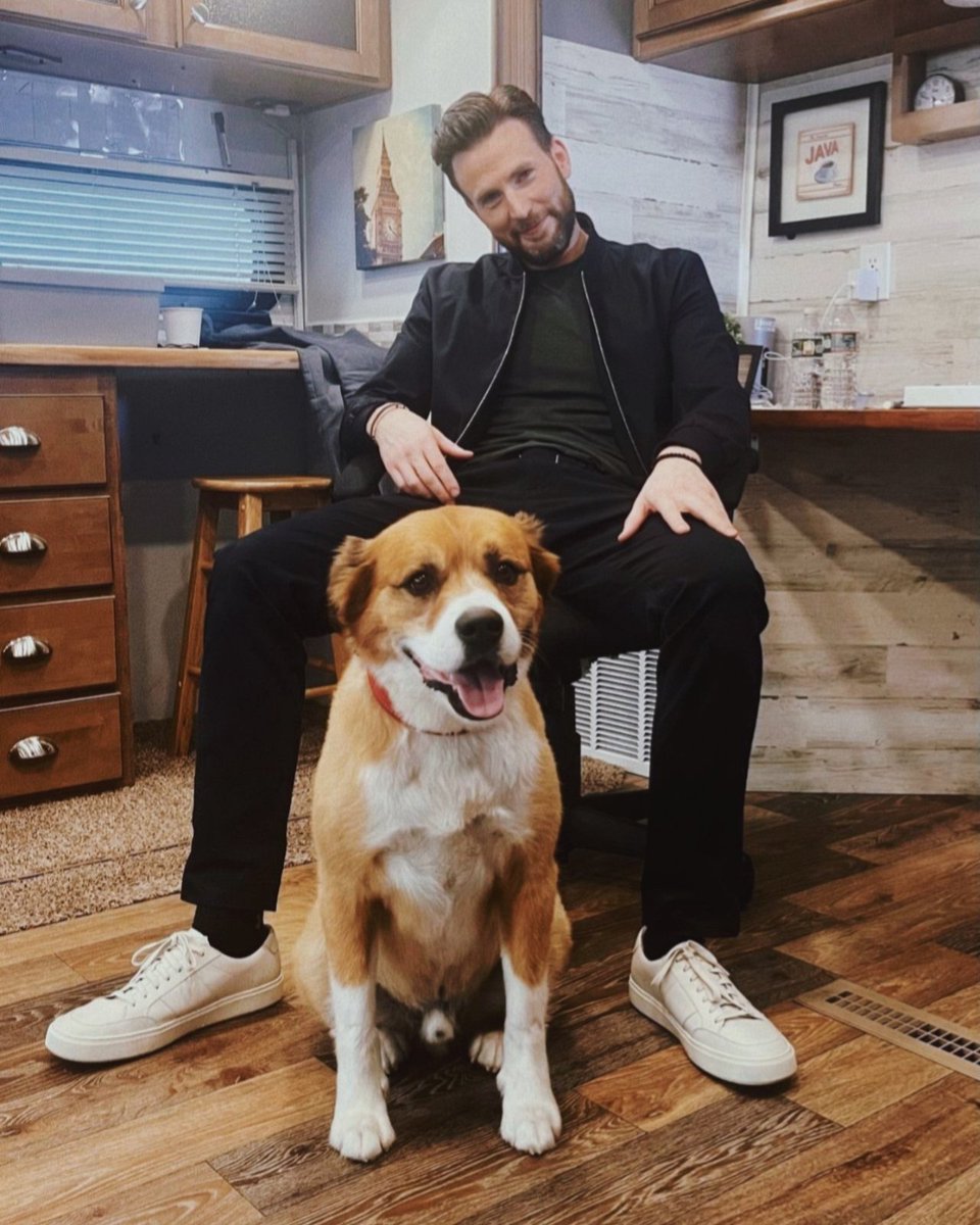stevrogersfiles's tweet photo. chris evans and dodger evans 💌 https://t.co/sm7V6HptFJ