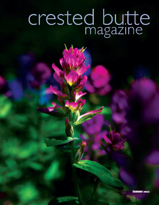 tayloreworsham's tweet photo. Honored to be featured in this summer's issue of Crested Butte Magazine. "Covering Some Literary Ground" (pp 24 &amp; 26) discusses the Hiking Book Club I have created here for Gunnison County Libraries. https://t.co/giq888U6V1 https://t.co/QJDYci72Oj